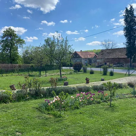 Apartmán Tulipan Vendeghaz