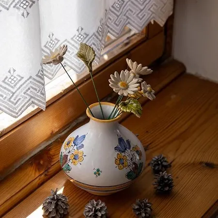 Apartmán Tulipan Vendeghaz Kercaszomor
