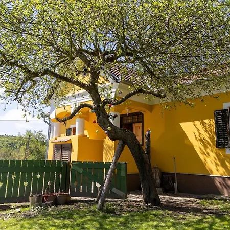 Apartmán Tulipan Vendeghaz Kercaszomor
