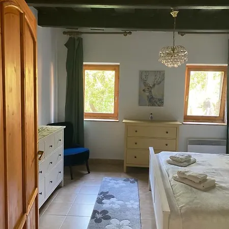 Apartment Tulipan Vendeghaz *