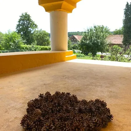 Tulipan Vendeghaz Apartmán *