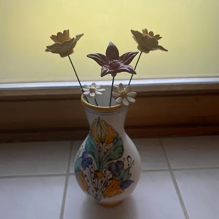 Apartmán Tulipan Vendeghaz