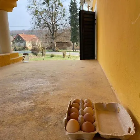 Apartmán Tulipan Vendeghaz *